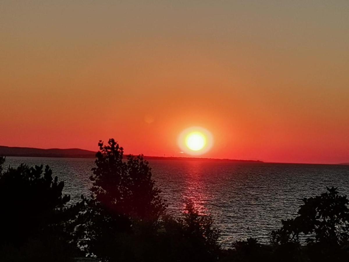 Apartman Zvoncica Vrsi Dış mekan fotoğraf