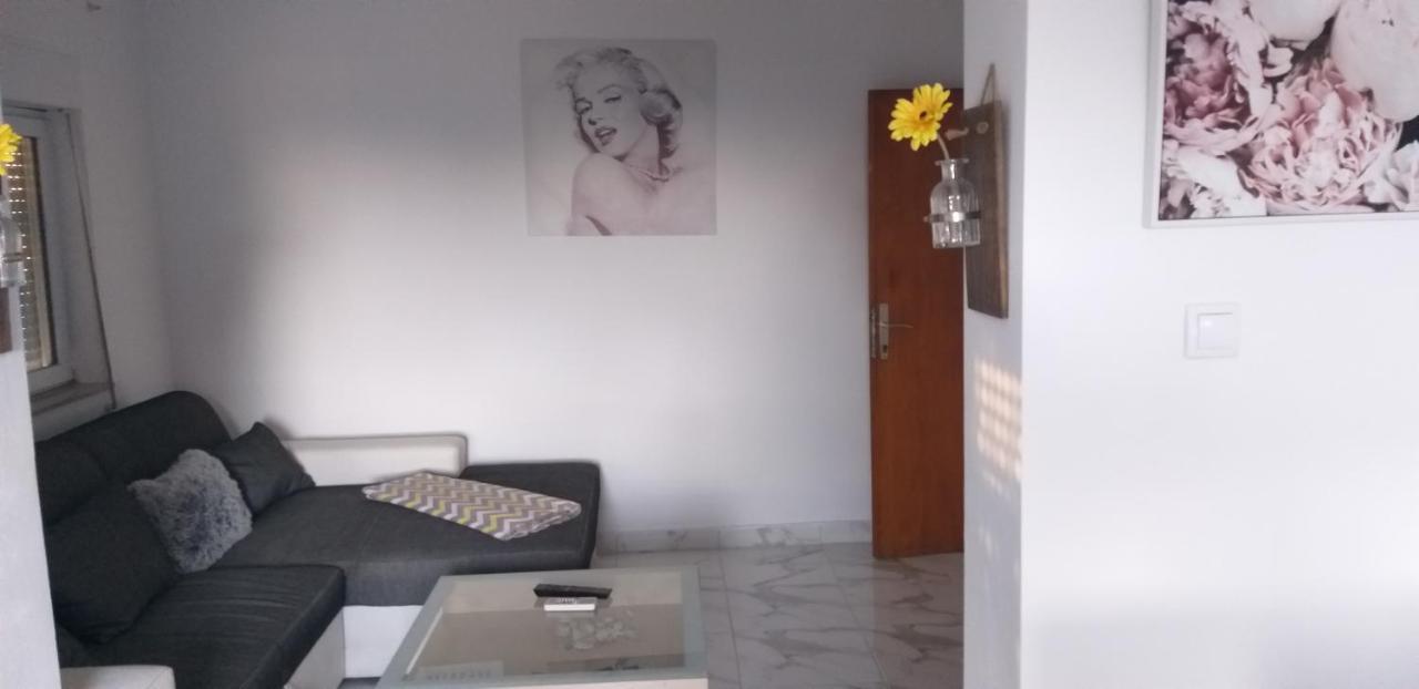 Apartman Zvoncica Vrsi Dış mekan fotoğraf